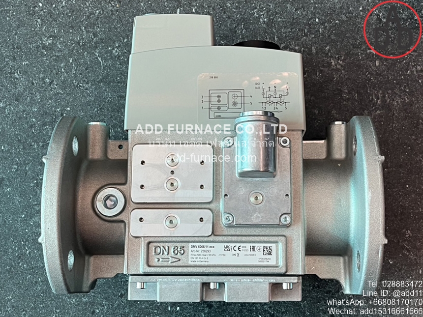 DMV 5065/11 Eco Dungs (5)